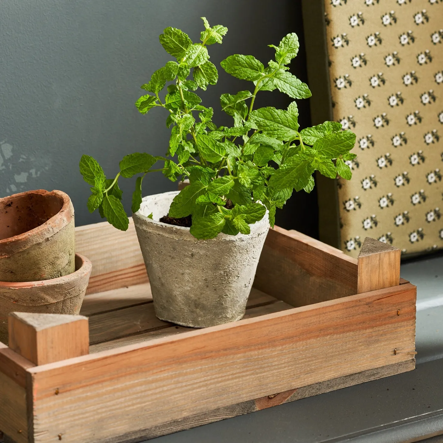 Aged Stone Terracotta Pot