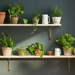 Aged Stone Terracotta Pot