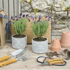 Bees Secateurs Set