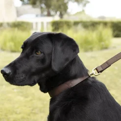 Woof Leather Dog Lead