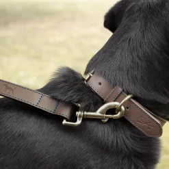 Woof Leather Dog Lead