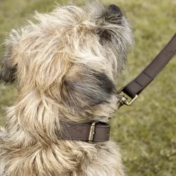 Woof Leather Dog Lead